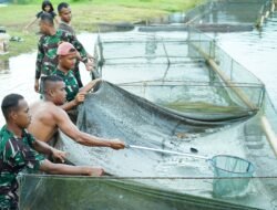 Korem 012/TU Kembangkan Budidaya Ikan Nila untuk Wujudkan Swasembada Pangan