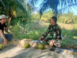 Tak Mengenal Tempat, Babinsa Koramil 04/Mrb Komsos Dengan Warga Binaan Di Areal Perkebunan