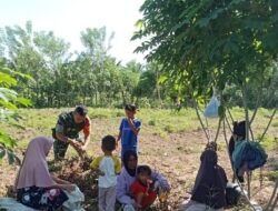 Babinsa Posramil 05 Pante Ceureumen Bantu Warga Panen Kacang Tanah di Wilayah Binaan