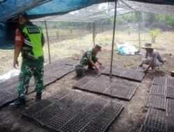 TNI Peduli Pertanian: Babinsa Bantu Petani di Desa Serba Jadi