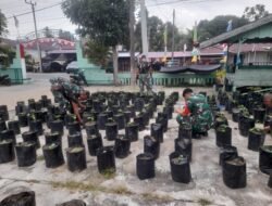 Serka M. Daud Pimpin Perawatan Kebun Ketahanan Pangan Makoramil 06/Teunom
