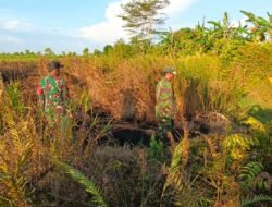 Cegah Karhutla, Babinsa Koramil 08/Pulau Maya Karimata Gelar Patroli Lahan Rawan Kebakaran