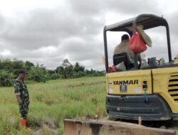 Babinsa Koramil 1003-06/Simpur Dampingi Program Optimalisasi Lahan Pertanian
