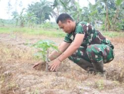 Korem 012/TU Kelola Lahan 40 Hektare untuk Ketahanan Pangan Nasional