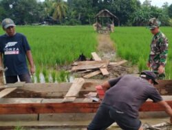 Babinsa Koramil 1003-02/Padang Batung Dampingi Program Optimalisasi Lahan Pertanian