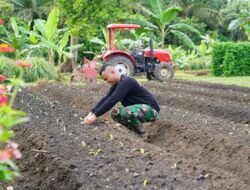 Korem 012/TU Kembangkan Program Ketahanan Pangan Terpadu, Maksimalkan Lahan untuk Pertanian dan Peternakan