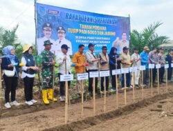 Tanam Perdana Padi Gogo dan Jagung di Kabupaten Banjar, Wujudkan Ketahanan Pangan Daerah