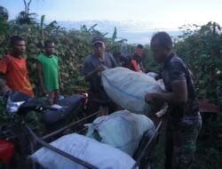 TNI AD Melalui Korem 012/TU Perkuat Ketahanan Pangan dengan Pengelolaan Lahan Produktif