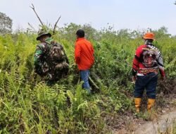 Koramil 1006-06/Martapura Gelar Patroli Terpadu, Cegah Karhutla di Wilayah Banjar