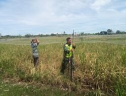 Babinsa Dampingi Warga Perbaiki Jaring Penangkal Burung di Sawah