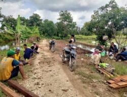 Komsos Ala Babinsa: Jalin Silaturahmi, Tingkatkan Produktivitas Petani Barambai