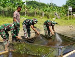 Personel Yonif TP 856/SBS Ikuti Pelatihan Budidaya Ikan Nila
