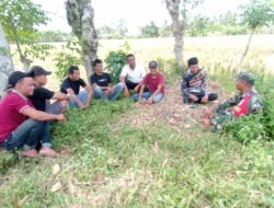 Babinsa Dukung Program Ketahanan Pangan dengan Mengajak Petani Semangat Mengolah Lahan