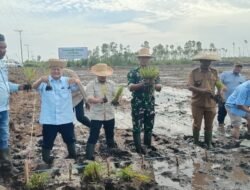 Sinergi TNI dan Swasta, Kodim 1005/Barito Kuala Ikut Tanam Padi Perdana di Lahan PT BPP