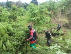 Kodim 1509/Labuha Gelar Karya Bakti Teritorial Prima dalam Rangka HUT ke-80 TNI