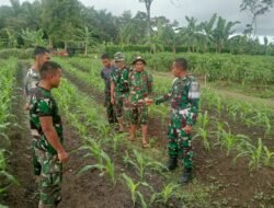 Korem 012/Teuku Umar Berikan Pelatihan Ketahanan Pangan kepada Yonif 856/SBS