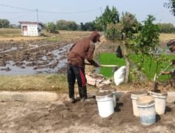 Di Tengah Musim Kemarau, Babinsa dan Petani Gotong Royong Perbaiki Saluran Irigasi