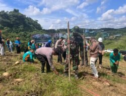Koramil 0909-06/Bengalon Gelar Penanaman Jagung Serentak: Mendukung Swasembada Pangan Nasional