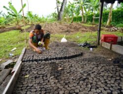 Korem 012/Teuku Umar Optimalkan Lahan Pertanian Terpadu untuk Mendukung Ketahanan Pangan