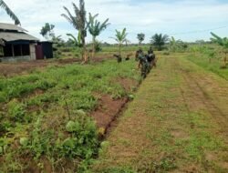 Korem 012/Teuku Umar Dukung Ketahanan Pangan Nasional melalui Pemanfaatan Lahan Produktif