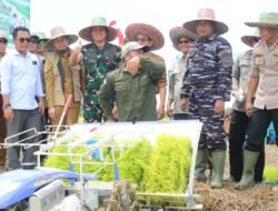 Dandim 0909/Kutai Timur Dukung Panen Raya di Desa Cipta Graha untuk Mewujudkan Swasembada Pangan