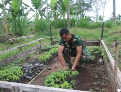 Korem 012/TU Mengelola Lahan Ketahanan Pangan untuk Mendukung Program Pemerintah