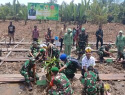 Pangdam XVIII/Kasuari dan Danrem 182/JO Gelar Penan 800 Pohon Mangrove di Teluk Bintuni