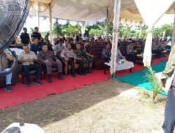 Aceh Jaya Sukses Gelar Panen Raya Jagung Serentak, Perkuat Komitmen Swasembada Pangan Nasional