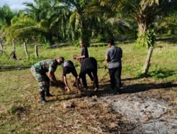 Sinergi TNI dan Santri: Babinsa Setia Bakti Ajak Santri Ar-Risalah Bersihkan Lingkungan