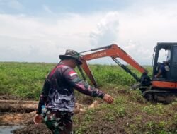 Optimalisasi Lahan: Babinsa Koramil 1003-03/Angkinang Bantu Petani Meningkatkan Produktivitas Panen