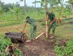 Korem 012/TU Dukung Ketahanan Pangan Nasional dengan Pemanfaatan Lahan Produktif