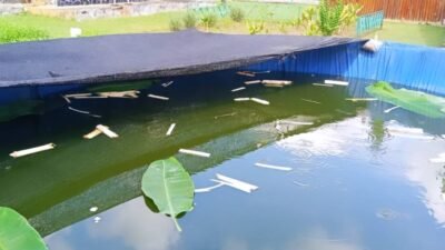 Yonif 116/Garda Samudra Budidayakan Ikan, Dukung Ketahanan Pangan Nasional