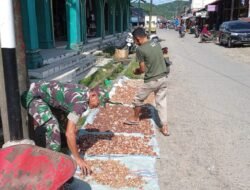 Babinsa Koramil 01/Jaya Turun Tangan Bantu Warga Jemur Pinang, Dukung Perekonomian Petani Lokal