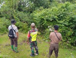 Jaga Kelestarian Alam dan Lingkungan Babinsa Koramil 01/Sungaimas Sosialisasi Karhutla di Desa Binaannya