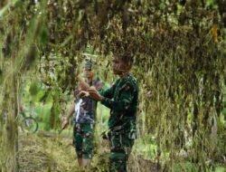 Korem 012/Teuku Umar Laksanakan Pembersihan Lahan, Dukung Program Ketahanan Pangan