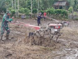 Jajaran Korem 012/Teuku Umar Dukung Swasembada Pangan, Babinsa Simeulue Timur Dampingi Petani Olah Lahan