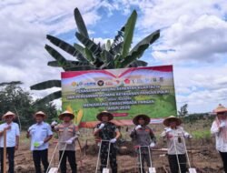 Sinergi untuk Ketahanan Pangan: Kodim 0909/Kutai Timur dan Polres Kutim Gelar Penanaman Jagung Perdana