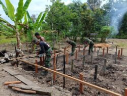 TMMD ke-126 Targetkan Rampung Sebelum 8 November, Rumah Kai Salamun Jadi Fokus