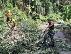 Babinsa Koramil 03/Setia Bakti dan Petugas PLN Bersihkan Pohon Tumbang di Desa Lhok Buya
