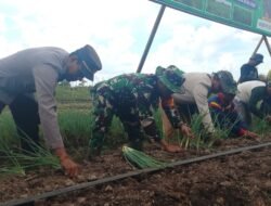 TMMD Bukan Sekadar Bangun Fisik, Tapi Juga Bangun Harapan dan Pangan