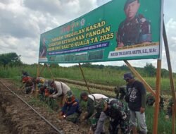 TMMD Ke-126: TNI Bersinergi dengan Warga Perkuat Ketahanan Pangan di Desa Tumih