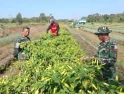 Satgas TMMD Ke-126 Kodim 1005: Pengabdian TNI Nyata di Tengah Warga Tumih