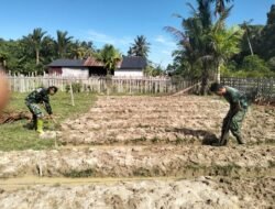 Jajaran Korem 012/Teuku Umar Bantu Petani Simeulue Olah Lahan Tanam Cabai