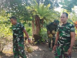 Hangatnya Kebersamaan TNI dan Warga di Bawah Teduhnya Pohon Kelapa