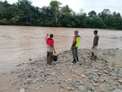 Curah Hujan yang Tinggi Babinsa Koramil 01/Sungaimas Laksanakan Pemantauan Air Sungai di Desa Tutut