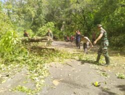 Prajurit Jajaran Korem 012/TU Sigap Bantu Evakuasi Pohon Tumbang di Tapaktuan