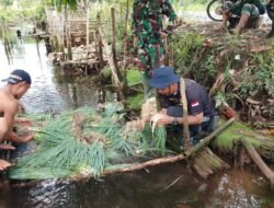 Kemanunggalan TNI-Rakyat, Sertu Abriansyah Ikut Pasca Panen Bawang Prai