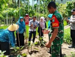 Babinsa dan Bhabinkamtibmas Jajaran Korem 012/TU Dukung Ketahanan Pangan Bersama PKK Gampong Jaboi Sabang