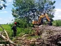 Sukseskan Ketahanan Pangan, Babinsa Koramil 1003-03/Angkinang Dampingi Oplah untuk Meningkatkan Produktivitas Pertanian