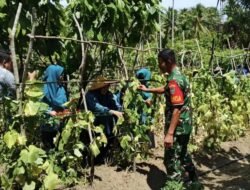 Jajaran Korem 012/TU: Babinsa Kodim 0112/Sabang Dampingi Ibu PKK Wujudkan Ketahanan Pangan di Gampong Jaboi